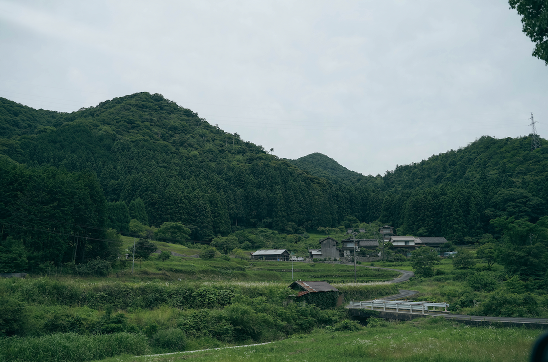 焙煎マコモとスギナ、山の手ざわりが香る一杯