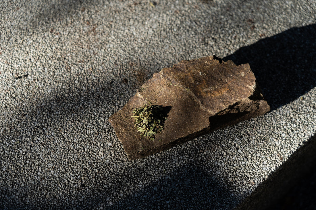 楮ほうじ茶、石州和紙の里で芽吹く一杯