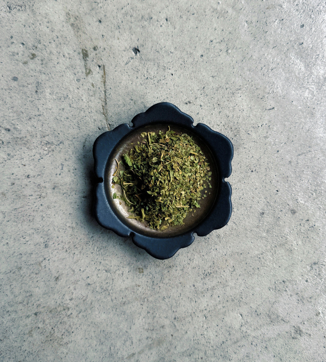 楮ほうじ茶 リーフ 10g