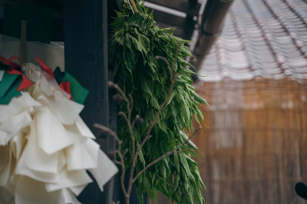 楮ほうじ茶 ティーバッグ8包入 茶筒