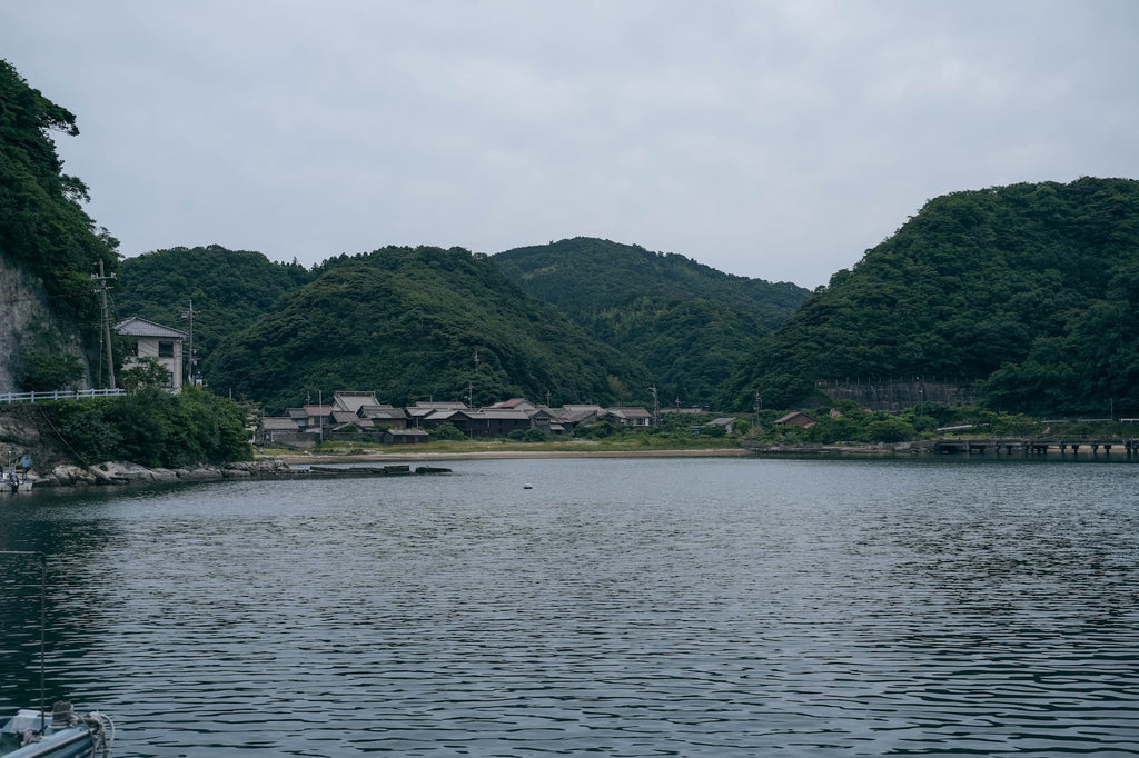 焙煎マコモとスギナ ティーバッグ ご家庭用 10包入