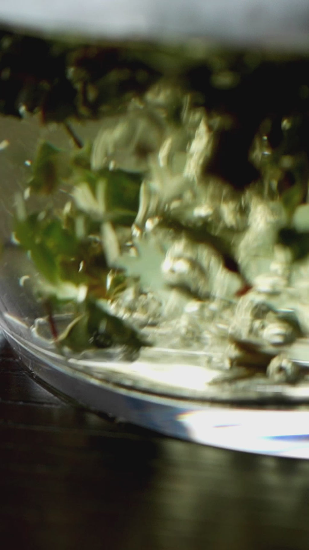 楮ほうじ茶 ティーバッグ8包入 茶筒